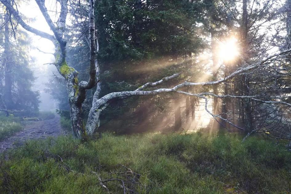 Wellness Pension Iveta Žacléř エクステリア 写真