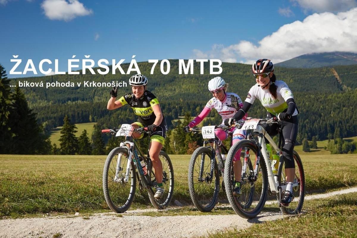 Wellness Pension Iveta Žacléř エクステリア 写真