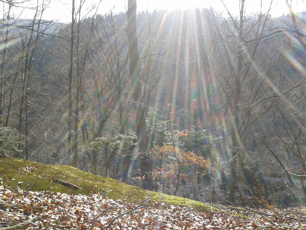 Wellness Pension Iveta Žacléř エクステリア 写真