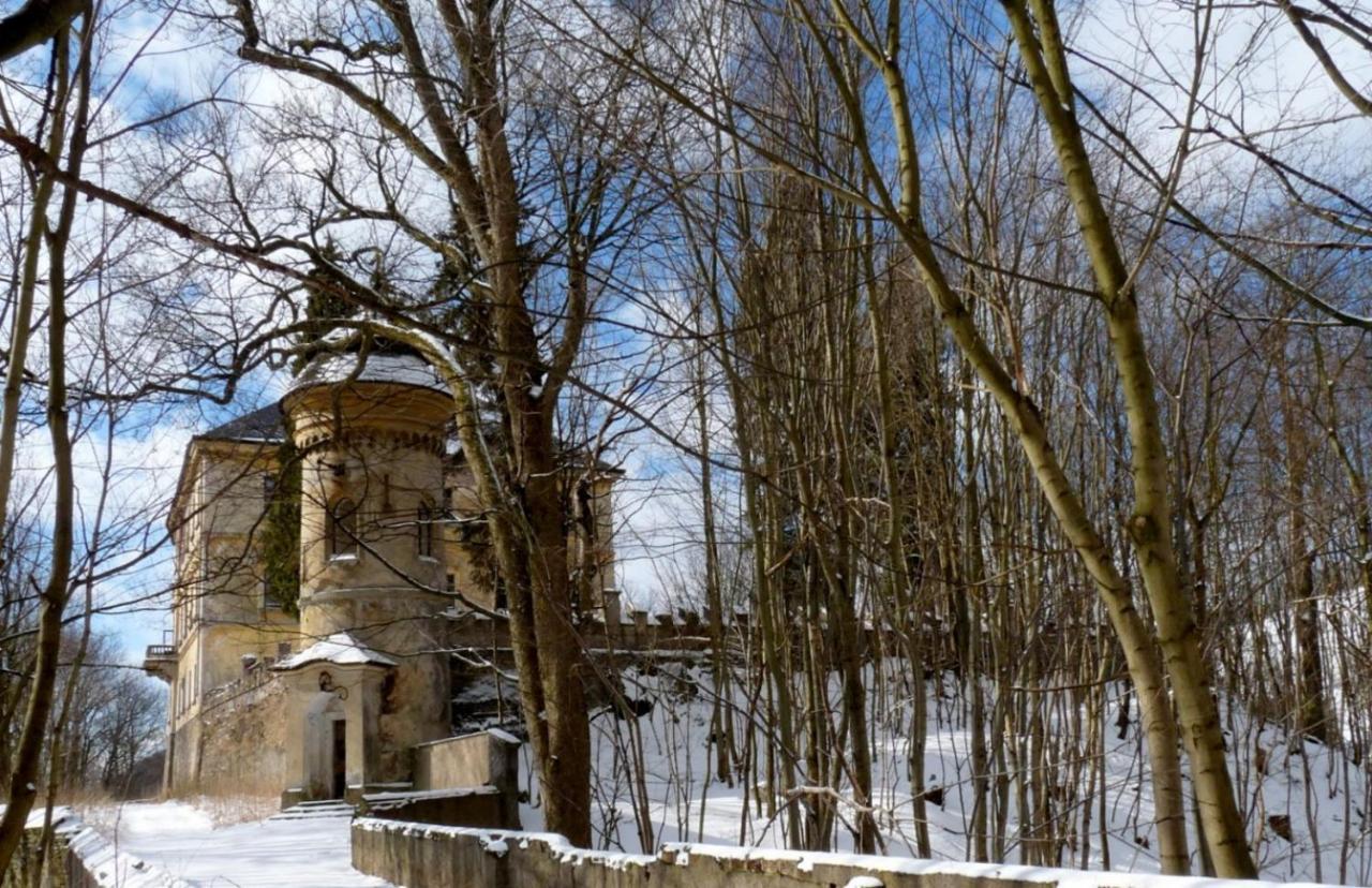 Wellness Pension Iveta Žacléř エクステリア 写真